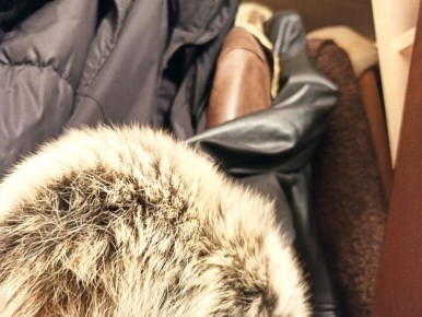 ����������� ������� ������ ������ �� ����