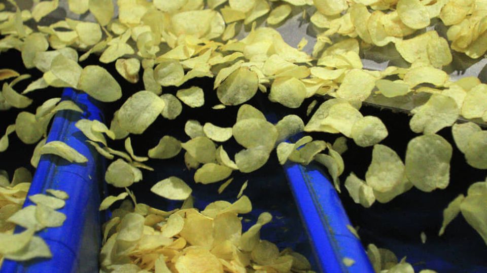 �����-��� ������ ������������: ������ �� ����� � ����� ������