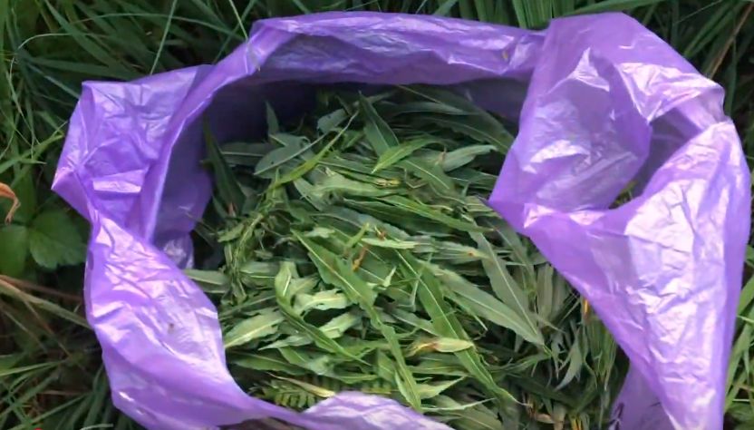 ����-���: ��� ������� ��������� ����������� ��� ���������� ���������� �������