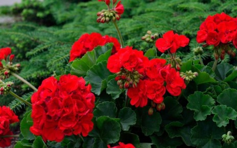 ��� ��������� �������� ������ ����� ��������: ������� ����� �� ������� ���������