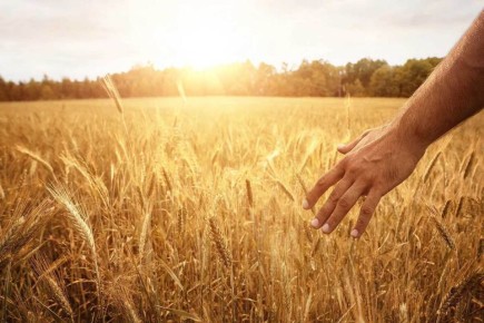 ��������� �����������������