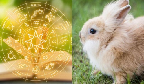 Какое вы животное на ферме по знаку Зодиака
