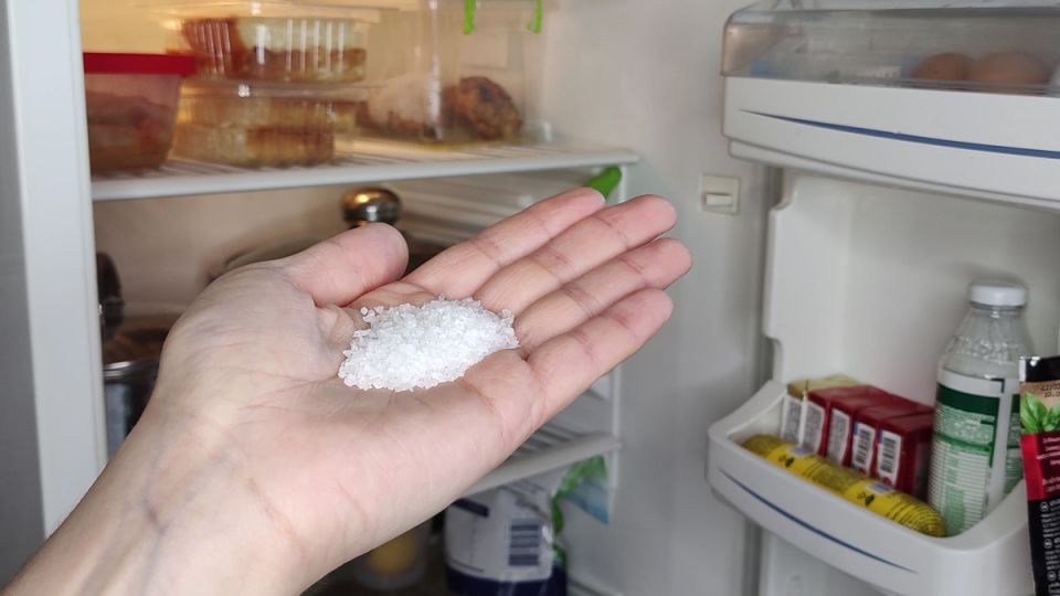 Как сохранить свежесть продуктов и устранить запахи в холодильнике: простые советы