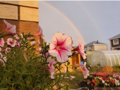 ��� �������� � �������� � ����� ��������� ���� �������