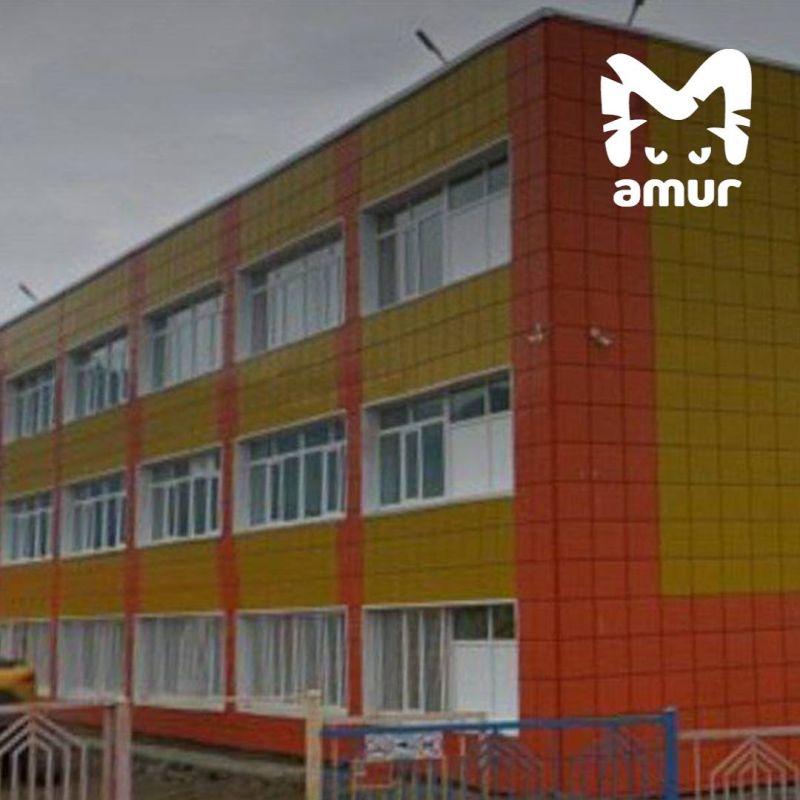 ����������� �������� �������-�������� ������ �� ����� � ��������������-����������