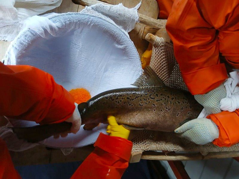 �� ������� ���������� ������ �������� �������������� ������ �����