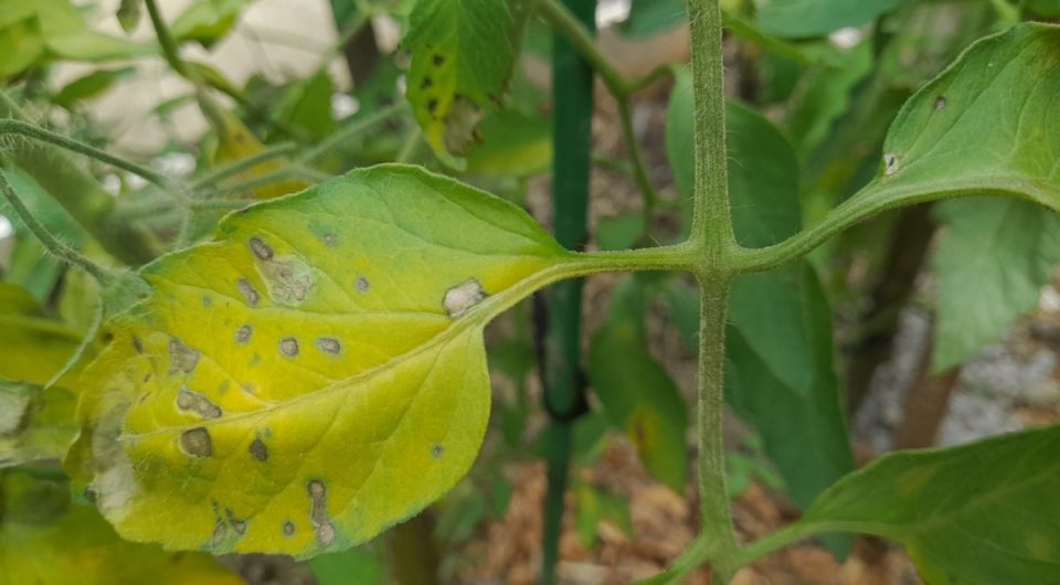 ������������: ����� ������ ��� ����� ������� � ��� � ��� ��������