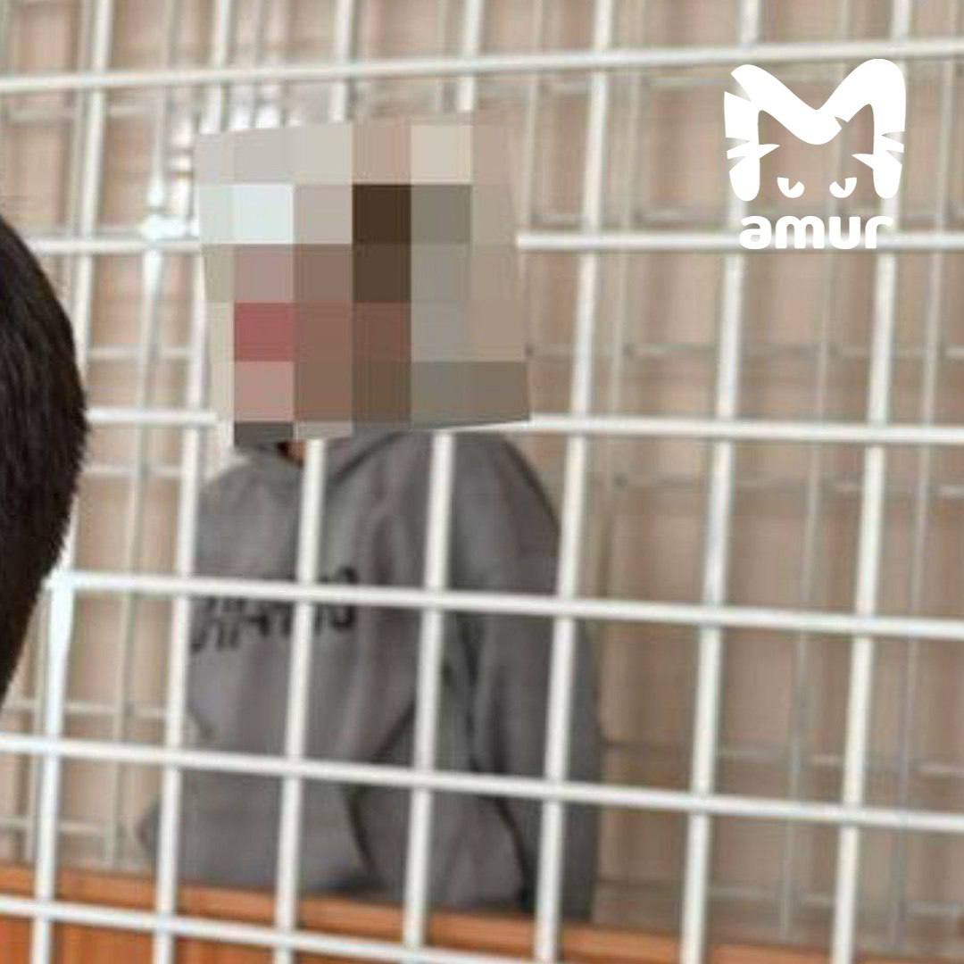 Пятилетняя девочка умерла от истощения из-за безразличия сотрудницы опеки на Камчатке