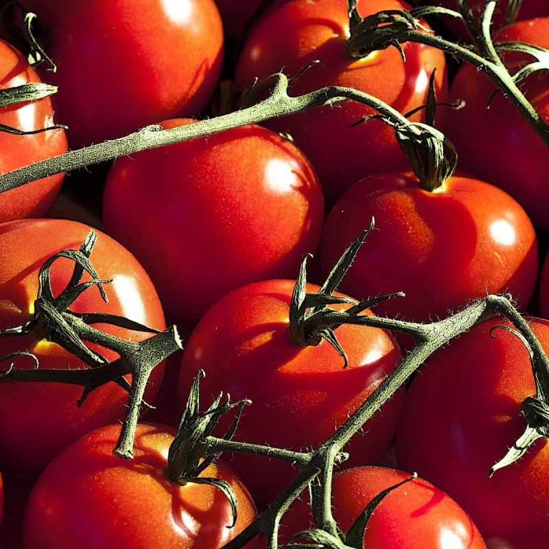 ���������� ����� ��� �������� ��� �����������: ����� ���������� ����� ��� ������� � �������