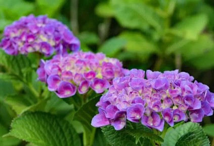 ��� ����� ������� � ���� � 14 �� 20 ����