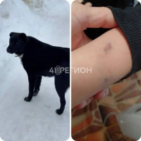 ������ ������� ������ � ��������������: ���������� ��������� ����