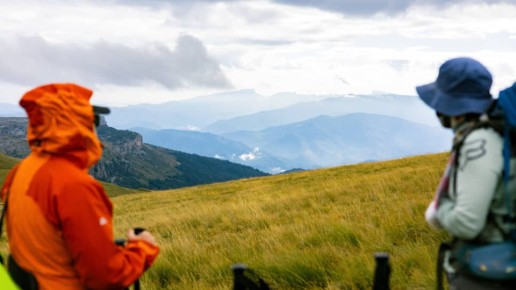 ������������ ������� �������� ��������� ��� ������������