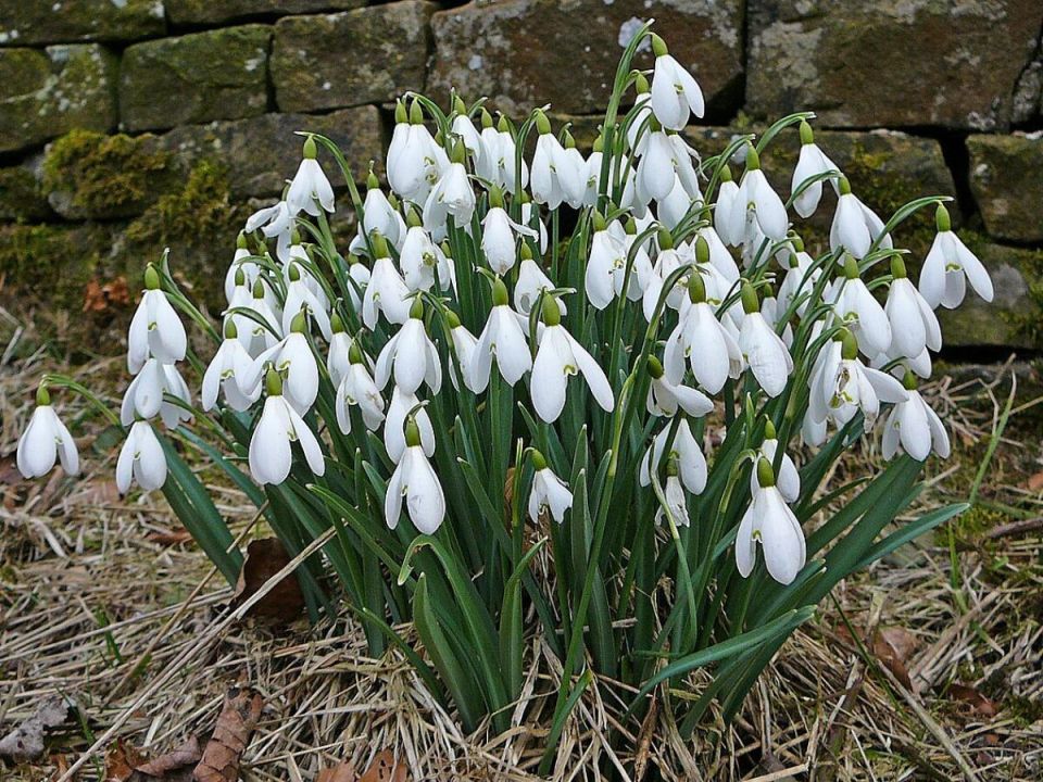 �������: ������� ���� ������ ���� � ������������� ����������