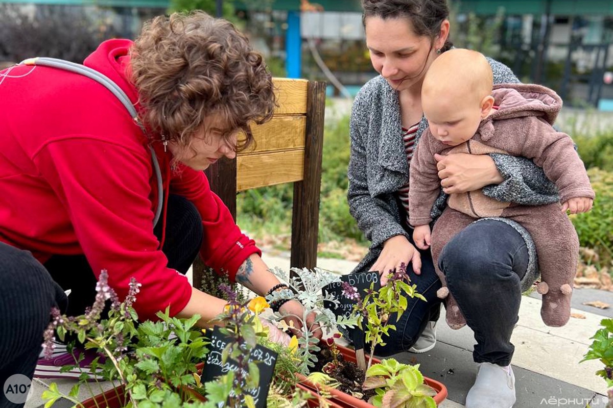 Общественный огород – просто и увлекательно!