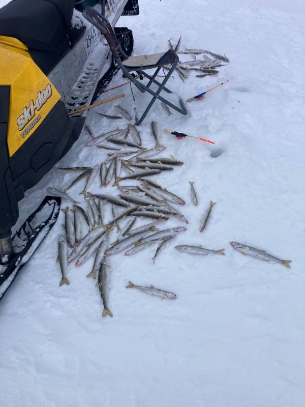 � ������ � �� ���������. � ������� ���� ����� �� ��������� ����� ������������ ������� �� ��������