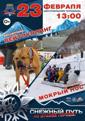 Вейтпуллинг в программе фестиваля «Снежный путь»