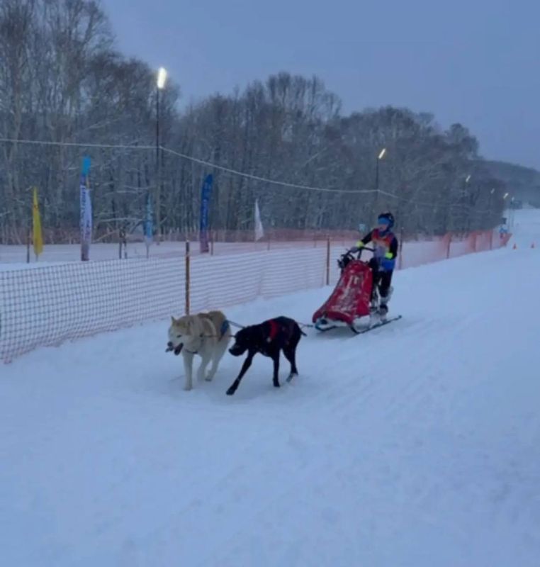 ������������ �� �������� ������ � ������ ��������� �������� �����