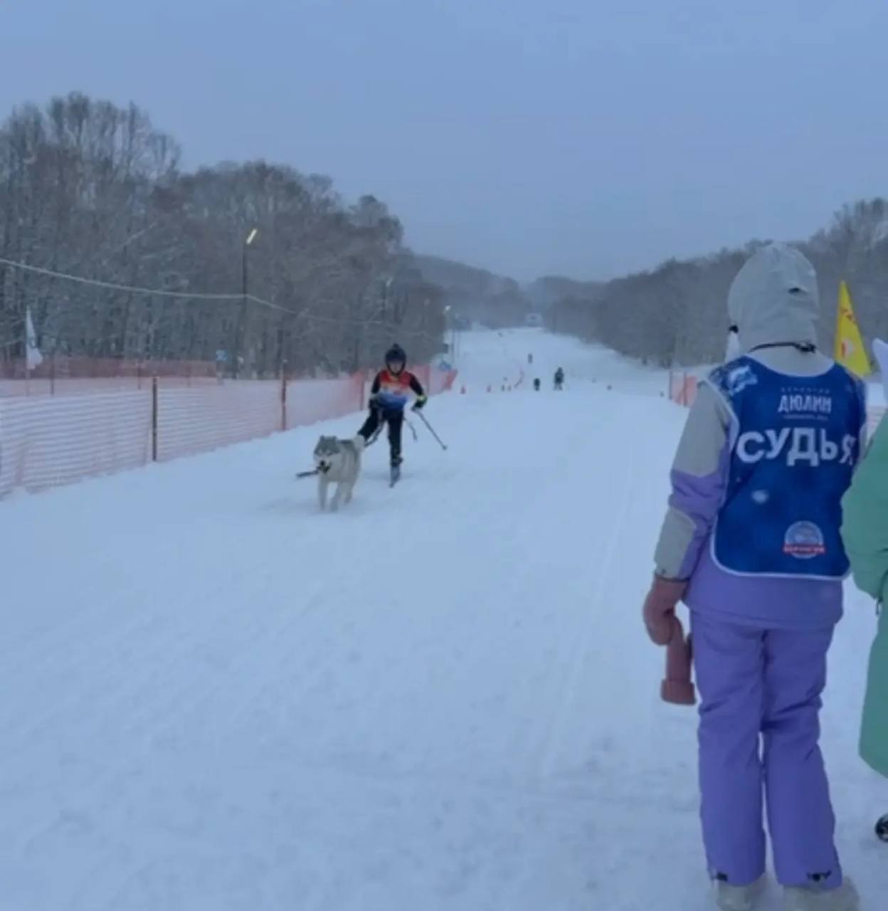Соревнования по ездовому спорту в рамках фестиваля «Снежный путь» Соревнования по ездовому спорту в рамках фестиваля «Снежный путь»