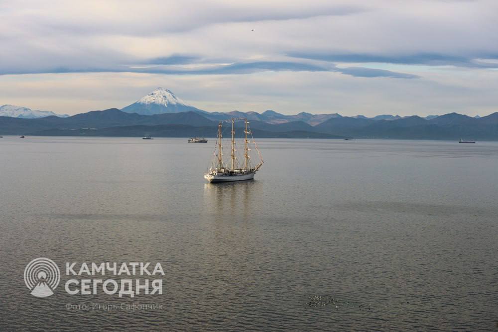 В 2025 году количество камчатских бизнесменов увеличилось на 200 человек