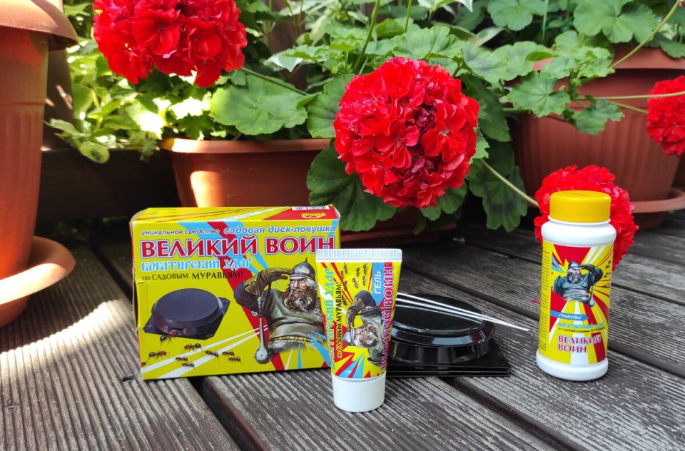 ����������� ������ ������ � ���������: ������� � ������� ��� ���������