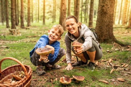 ������ ���� ������ ���� ������������ ������ ������� ��������