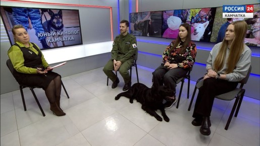 �������� | ����� ������� � ��������