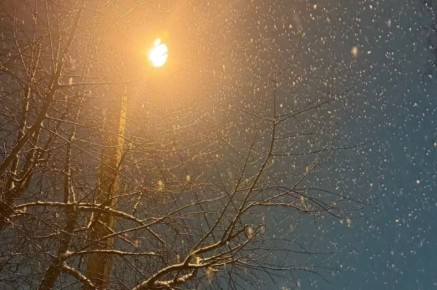 ������� ���� � �������� ����������: ������ �� �������� 22 �������