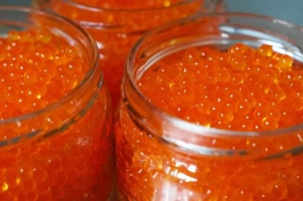 ���������� ���� ������ ��������: 12 ���� ���������� �������� �����������