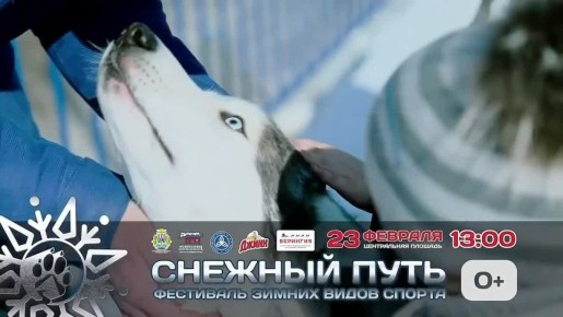 Городской фестиваль зимних видов спорта «Снежный путь – на драйве города!» стартует совсем скоро!