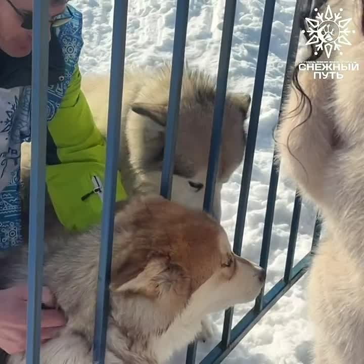 ���� �������� ���������� ��������� ����� ���� ���������