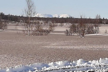 Окрестности вулкана Шивелуч на Камчатке покрыты пеплом от извержения, сообщили в Институте вулканологии и сейсмологии ДВО РАН