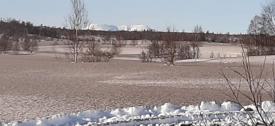 ����������� �������� �������� ������� ������� ��������� ������