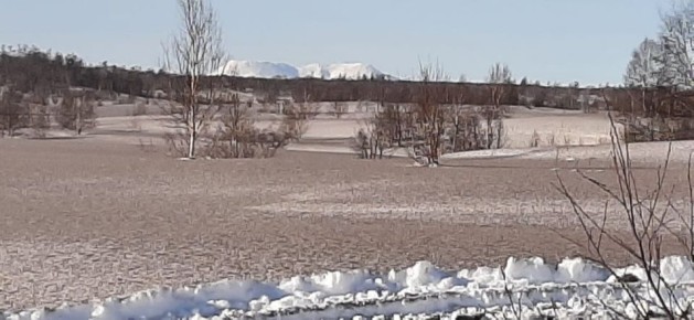 ����������� �������� �������� ������� ������� ��������� ������