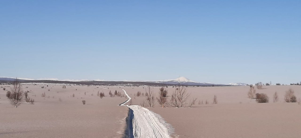 Последствия пепловых выбросов вулкана Шивелуч публикуют учёные Последствия пепловых выбросов вулкана Шивелуч публикуют учёные