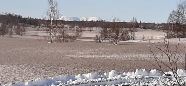 ����������� ������� ������� ������� ������ �� ����������