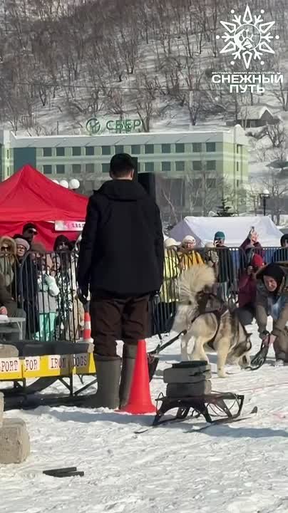 Приглашаем всех на площадку вейтпуллинга!