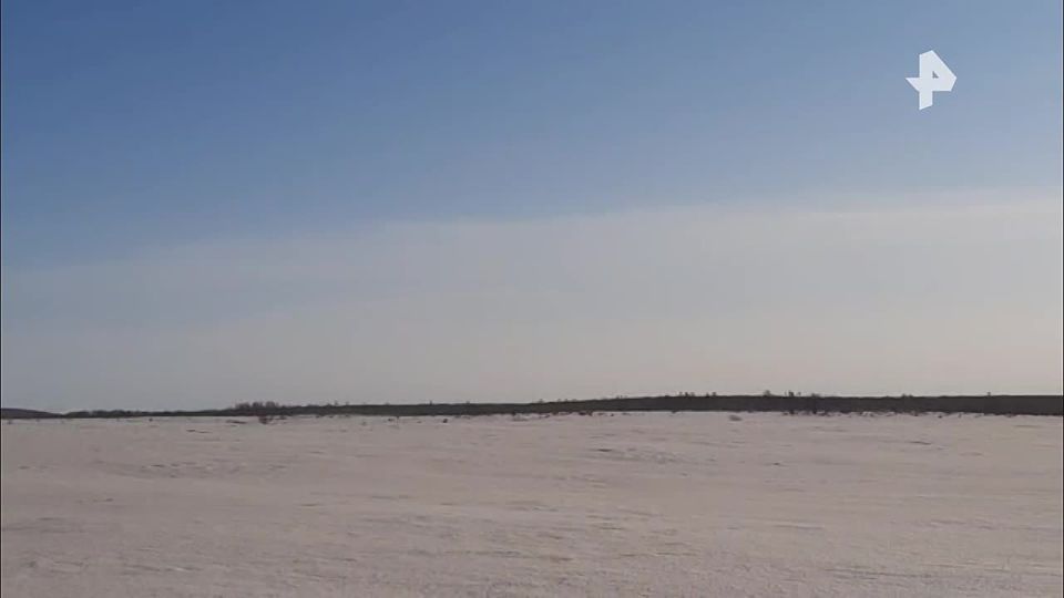 После извержения вулкана Шивелуч белый снег стал серым на Камчатке