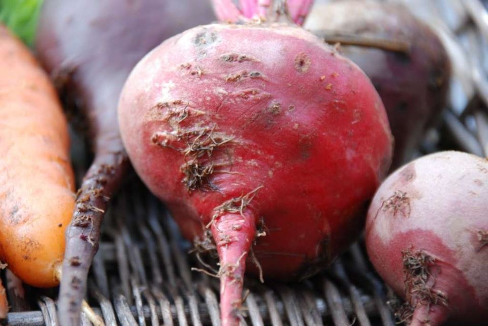 ������ ����� �������� ������������ ��������� ��� ������ ���� �����?