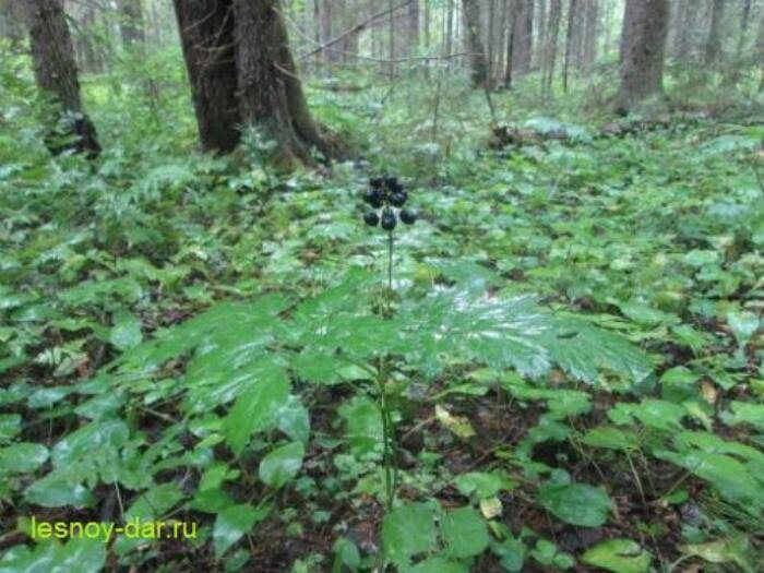 ������� ����� � �����: ������� ���������� ��� �������