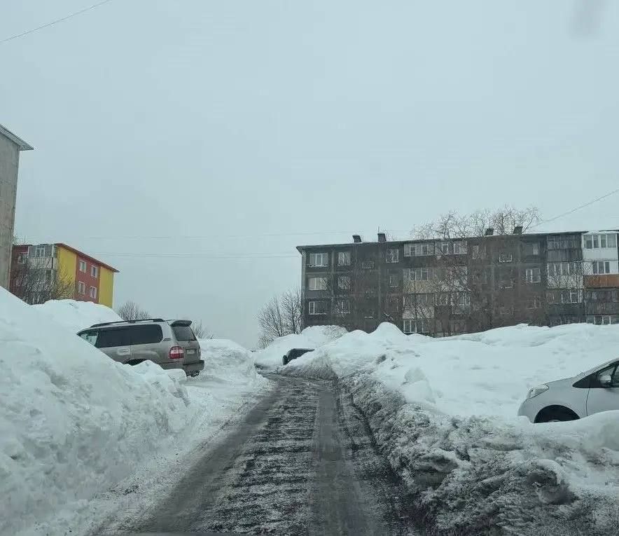 ����� ���� �� ����. �. 24 ������� 2026 ���� � ������ �� ������� ���������� ������ ������������