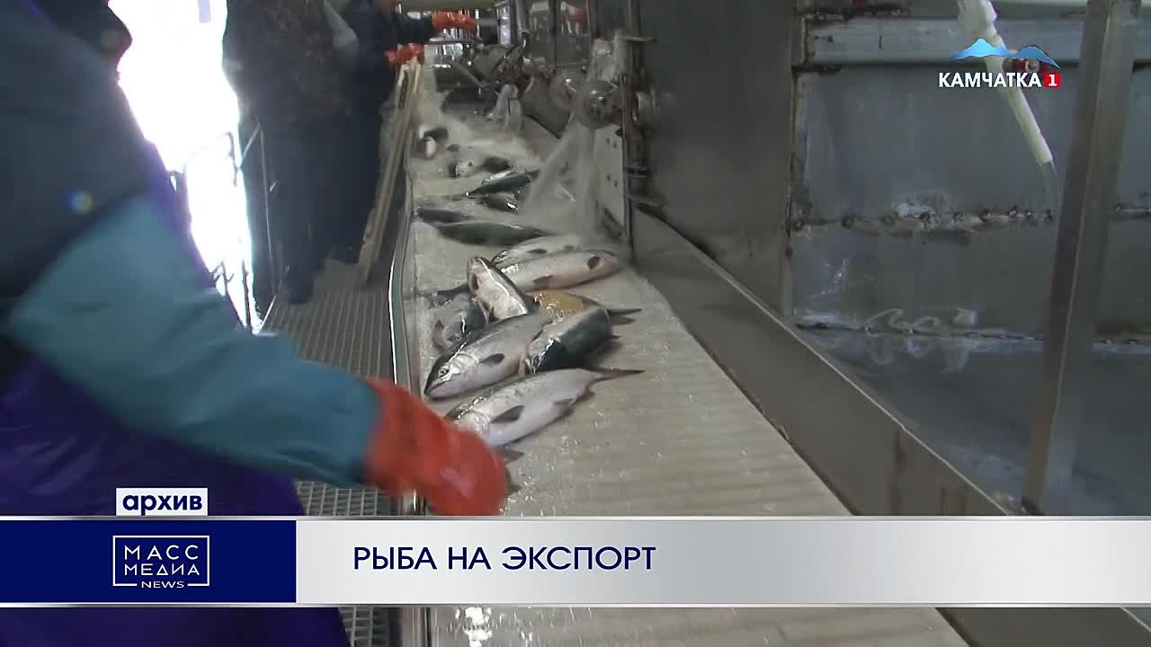Рыба на экспорт. Камчатская рыба продолжает завоёвывать зарубежные рынки