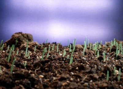 ��� �������������� ����������� ��������� ����� ��� �������