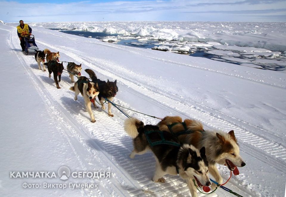 ����� ���������-2026� ���������� �� ����� � ���� ����