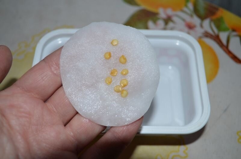 Советы по подготовке семян для успешного посева