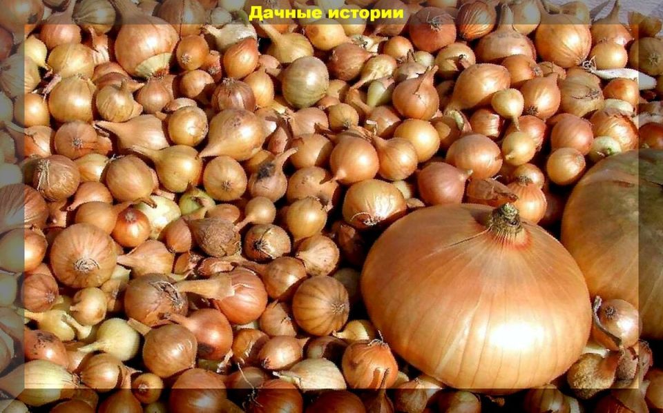 ��� ��������� ������� ��� ��� ������������