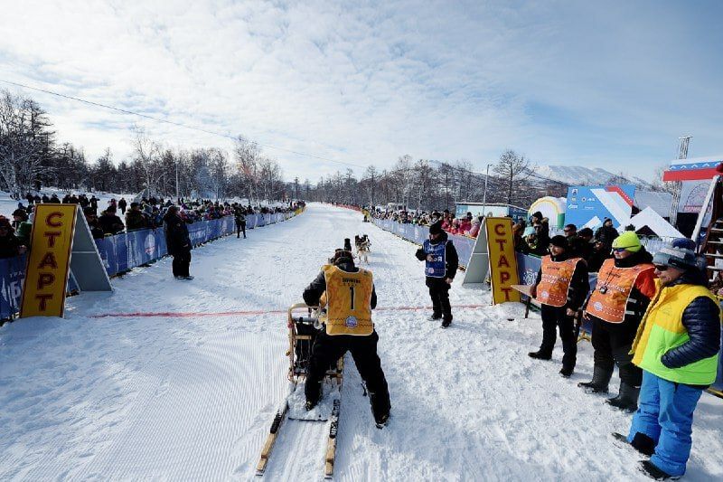 ���������-2026� �������� ��� �� ���� ������