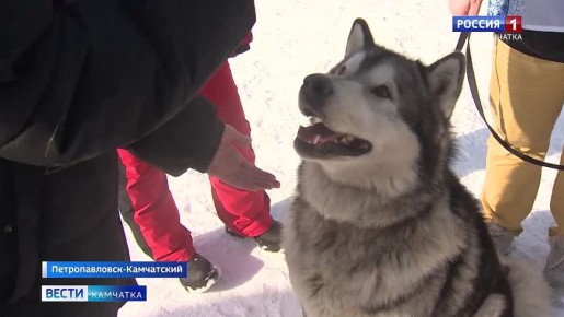 ��������� ������ ����� ������ �������� ����� ������ � ������ ��������������-����������� ����� 1000 ��������