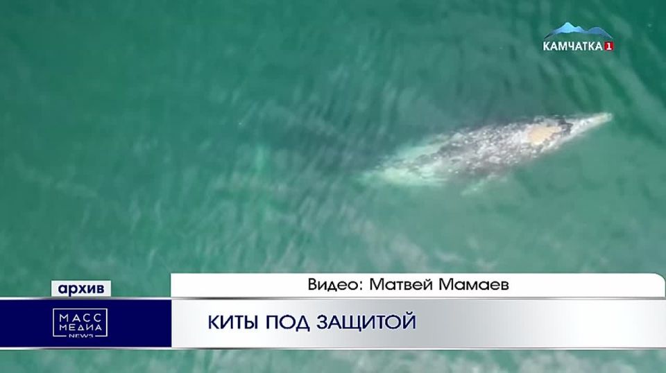 ���� ��� �������. ����� ����� �� �������� ��������� ������� ��� ��������� �������������� ����� �������