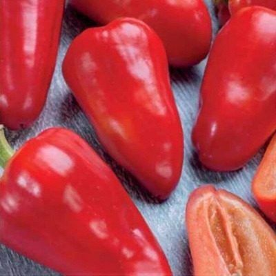 ����� ��������� ������: ��������� ����� ��� ������ �������