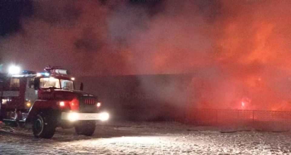 � ���������� ������ ����� ������� ���